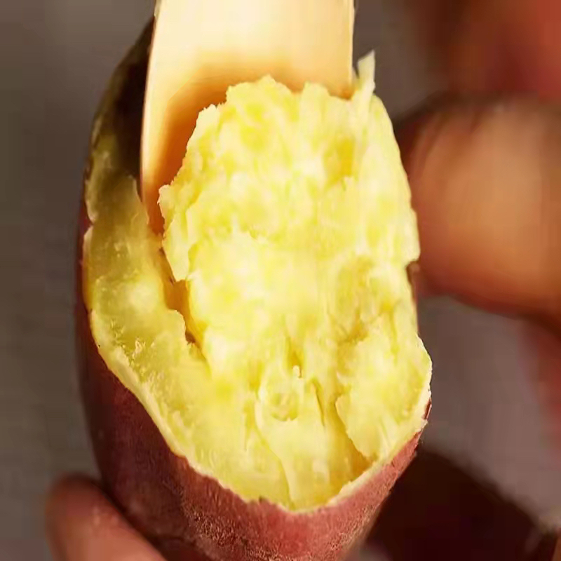 〔产地直发包邮04〕高原甜糯红薯/板栗红薯