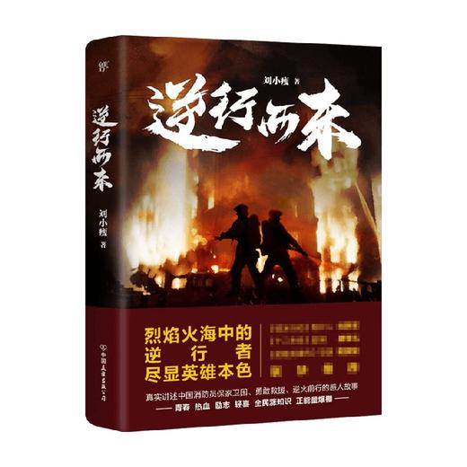 逆行而来 刘小瘦 著 社会小说 商品图1