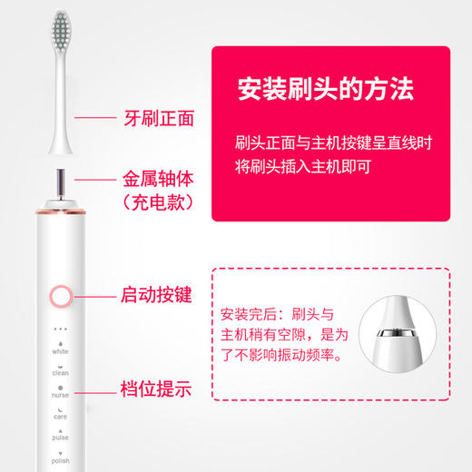 买1送1 铂瑞智能超声波声波电动牙刷 USB充电 IPX7防水 杜邦柔软刷毛 商品图3