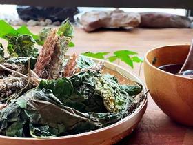 鸡骨草桑叶汤︱3包装