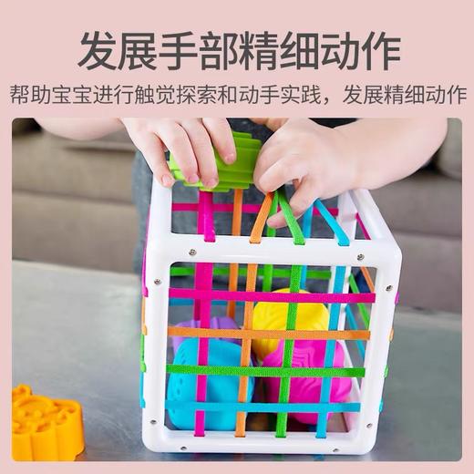 Fat brain婴幼儿益智色彩认知彩虹塞塞乐 商品图1