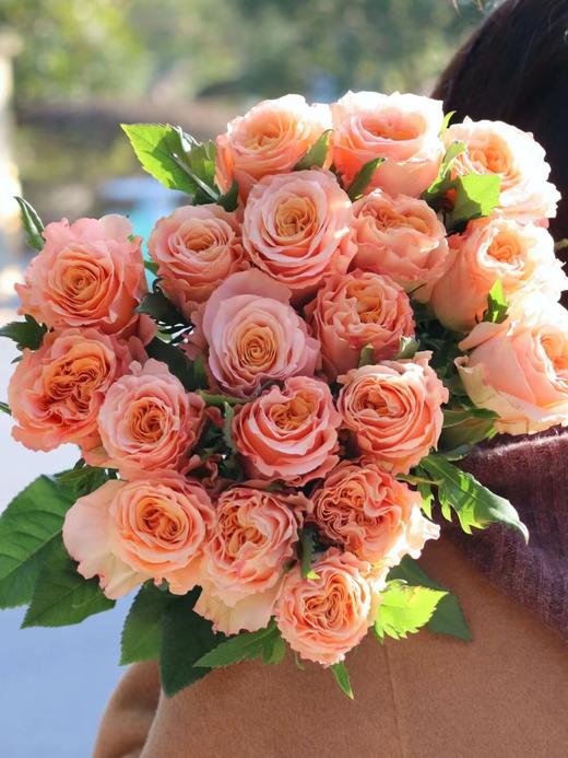 【周四秒杀】微光玫瑰10枝49.8元 商品图1