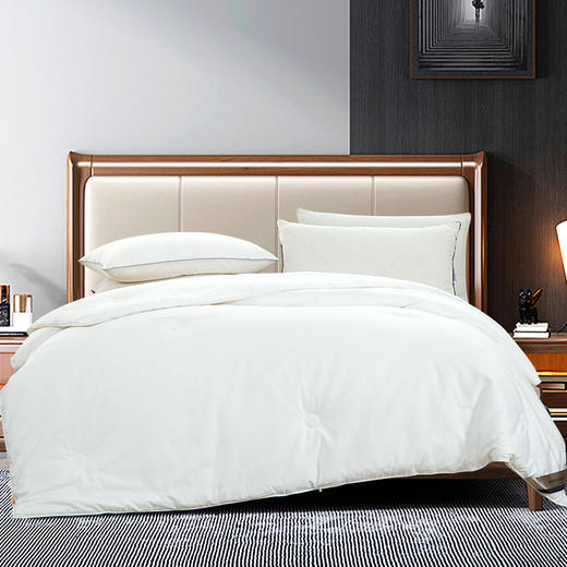 铂金系列纯桑蚕丝被 AJPD 精美软包装 商品图0