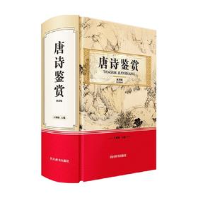 唐诗鉴赏 第四版 王鍾陵 著 文学