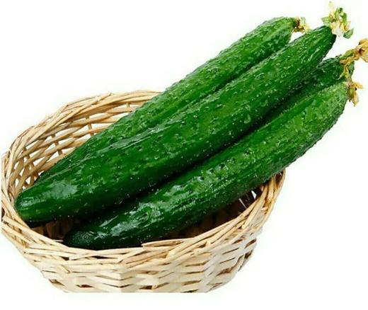 黄瓜 商品图0