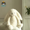 Jellycat 害羞系列 邦尼兔 白色 商品缩略图4