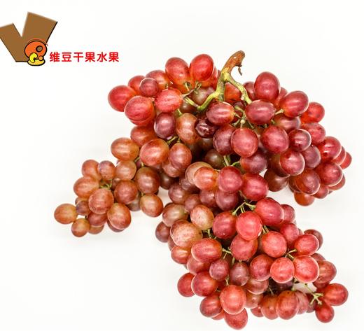 克伦森无籽葡萄 商品图1