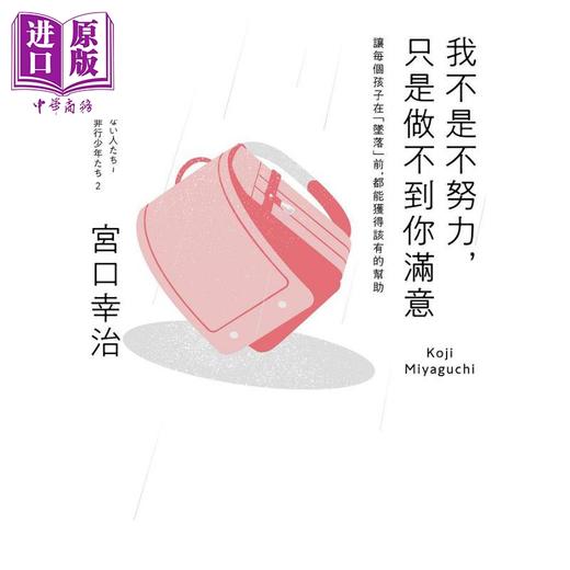 【中商原版】我不是不努力 只是做不到你满意 让每个孩子在坠落前 都能获得该有的帮助 港台原版 宫口幸治 远流 不会切蛋糕的犯罪少年续作 商品图2