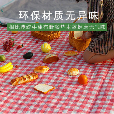 户外春郊游野餐垫草坪露营野炊地垫加厚便携野餐布防水帐篷防潮垫 商品图3