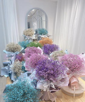 【国产高品质】 星花/满天星 多色可选 约500克/大扎