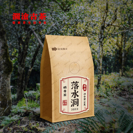 澜沧古茶2022年落水洞古树春茶散茶50g 商品图0