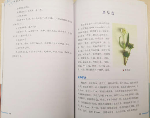 花语女人健康养生图书上下册 商品图2