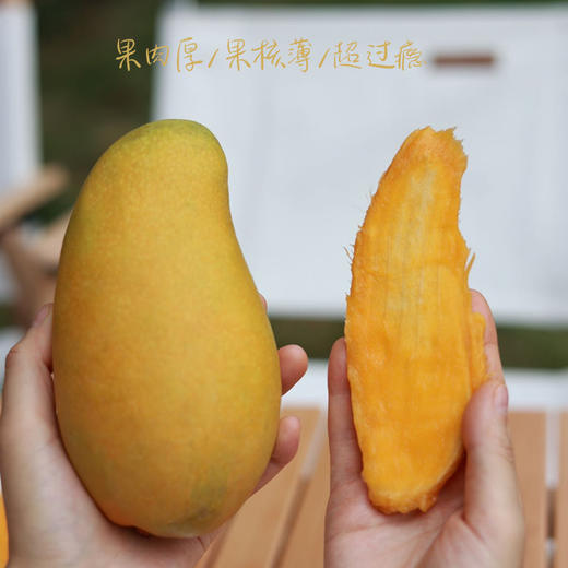 【产地直发包邮】听甜-金煌芒 商品图2