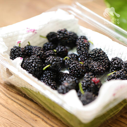 生态桑葚（酸甜，预售，按下单顺序发货，下雨停发） | 绿家自产*Eco-mulberry | Self-production 商品图0