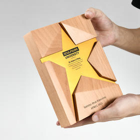 逐梦之星实木奖杯定制创意荣誉奖牌优秀员工光荣退休纪念牌定做