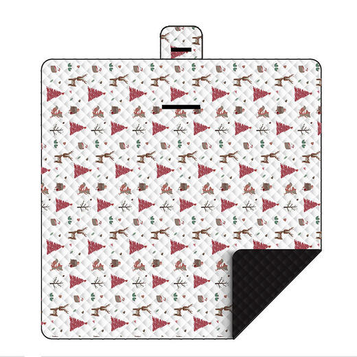 户外春郊游野餐垫草坪露营野炊地垫加厚便携野餐布防水帐篷防潮垫 商品图7