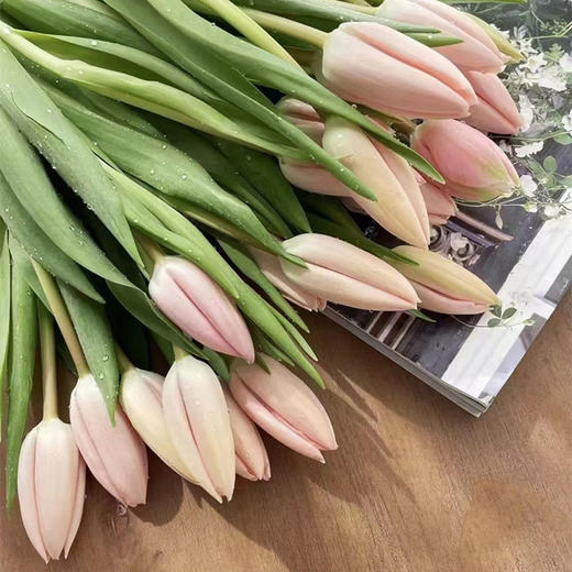 荷兰进口花材水蜜桃郁金香10支 商品图4