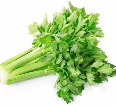 普通芹菜 商品图0