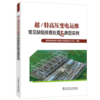 超/特高压变电运维常见缺陷排查处置与典型实例 商品缩略图0