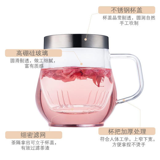 【6F】多样屋茶杯单层玻璃水杯带手柄 家用带盖茶水分离杯 有茶隔过滤杯子 高硼硅玻璃杯 商品图3