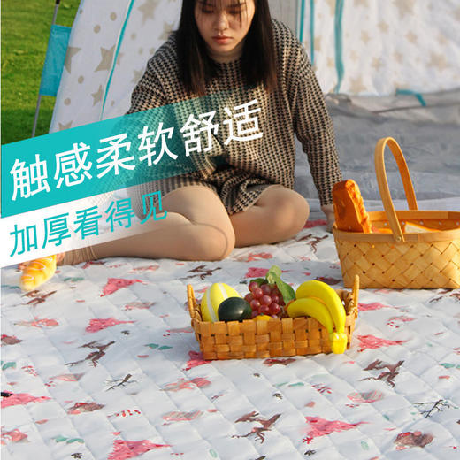 户外春郊游野餐垫草坪露营野炊地垫加厚便携野餐布防水帐篷防潮垫 商品图5