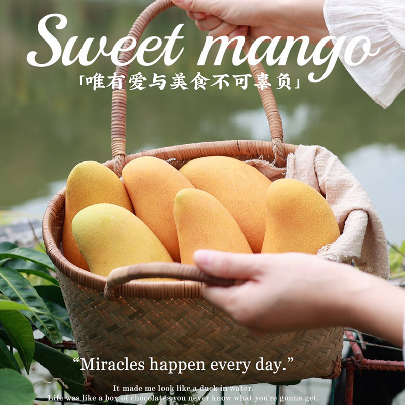 【产地直发包邮】听甜-金煌芒