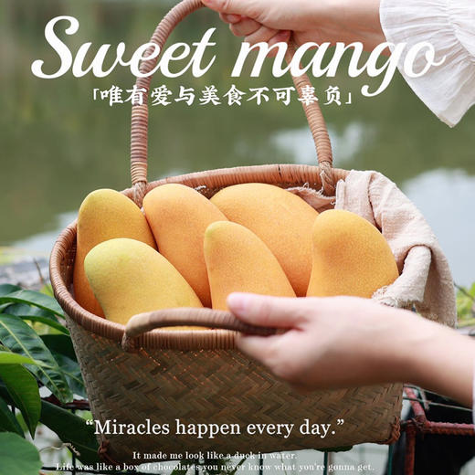 【产地直发包邮】听甜-金煌芒 商品图0