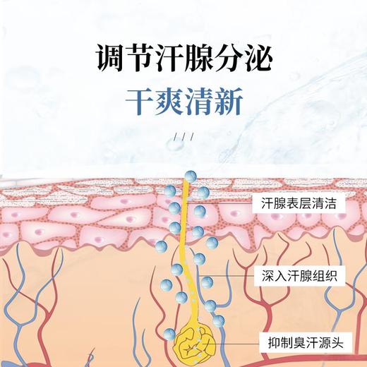 【腋臭克星！第2瓶半价】法国原装进囗，3重生物酶消除腋臭/狐臭告别复发，根源止腋汗调节汗腺清理毛孔，持久淡香舒爽温和 商品图3