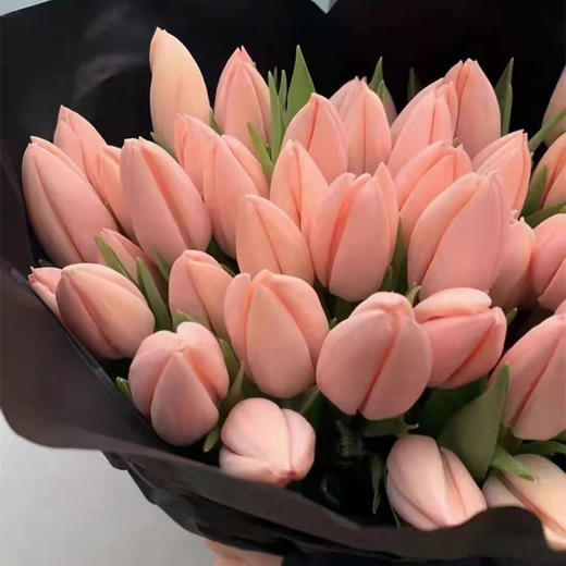 荷兰进口花材水蜜桃郁金香10支 商品图1