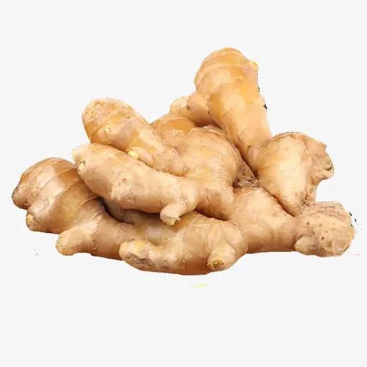 葱姜蒜（葱700g±50g姜250g±50g蒜250g±50g） 商品图1