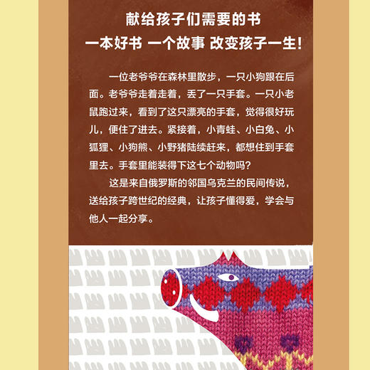 手套 布拉迪斯拉发国际插画双年展获奖书系 商品图2