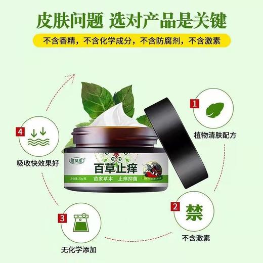 【百草止痒膏】百草止痒 瘙痒湿痒软膏 外用苗方草本乳膏30g 商品图2