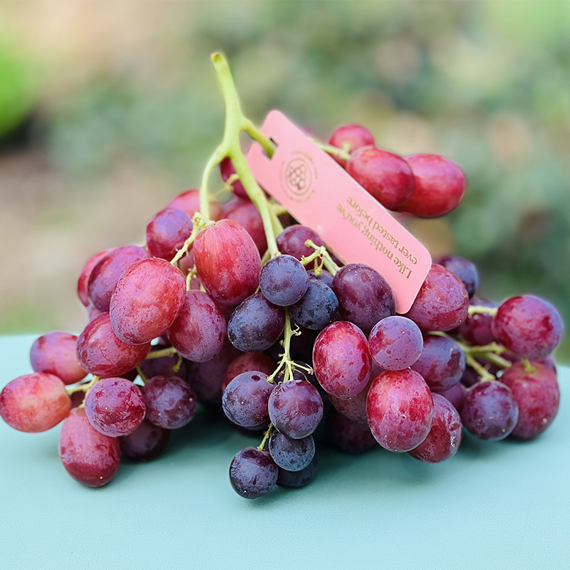 哇,打开盖子香气扑鼻,粉红娇艳小葡萄,轻咬一口一股浓浓的桂花香