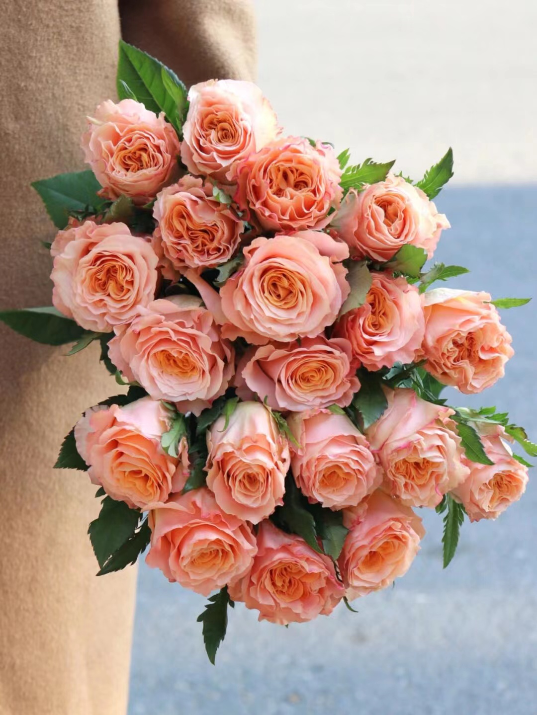 【周四秒杀】微光玫瑰10枝49.8元