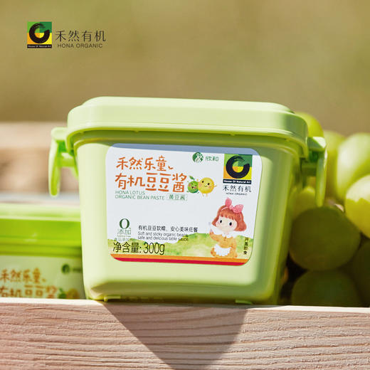 禾然乐童有机豆豆酱300g/盒 商品图1