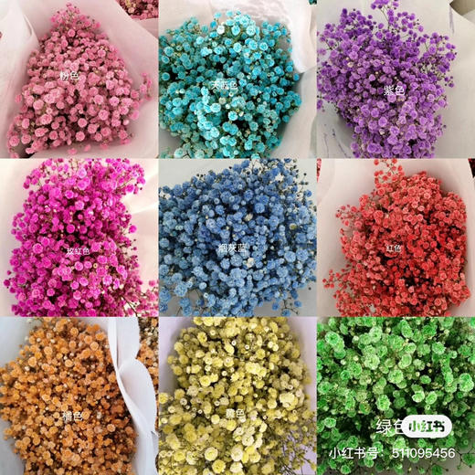 【国产高品质】 星花/满天星 多色可选 约500克/大扎 商品图1