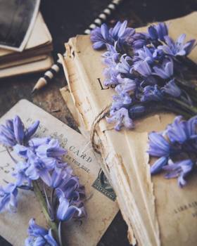 我欣赏这样活着的女人