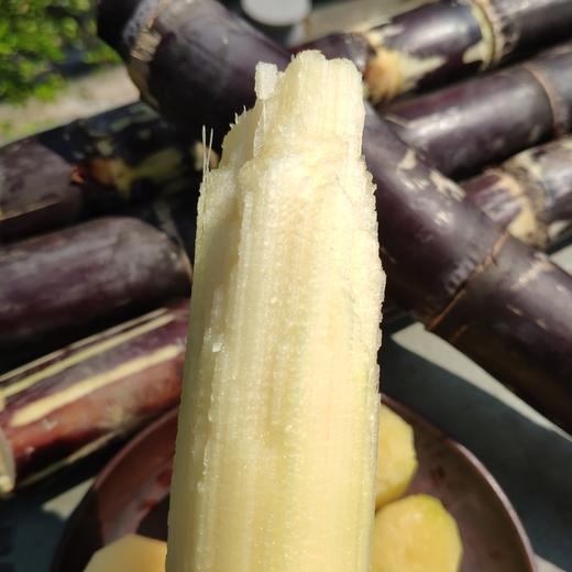 产地直发 | 广西黑皮甘蔗新鲜 脆甜杆应当季特产 商品图1