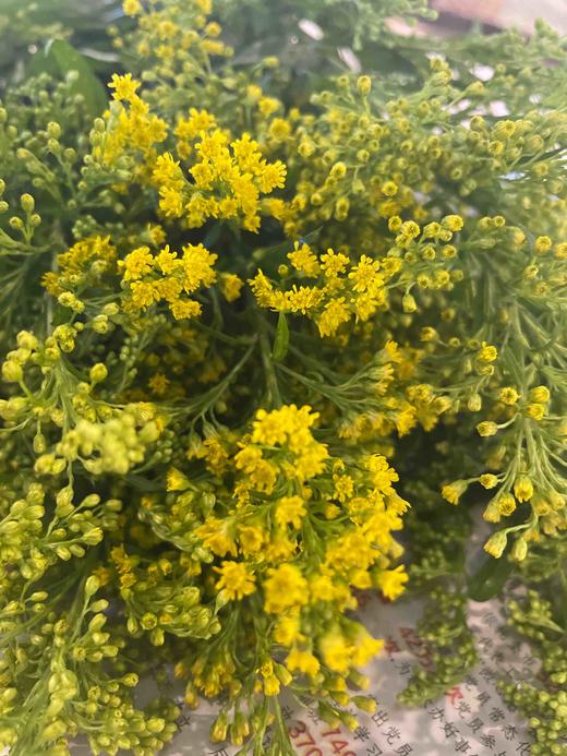 黄莺 约4-5支/小扎 - 南粤floever鲜花量贩