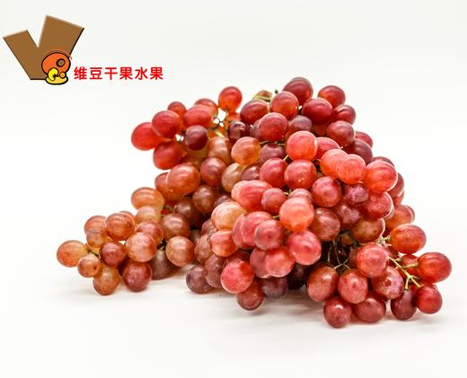 克伦森无籽葡萄 商品图2
