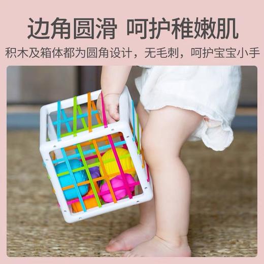 Fat brain婴幼儿益智色彩认知彩虹塞塞乐 商品图2