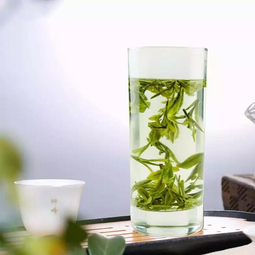 【推荐】2022新茶西湖龙井茶 50g 明前三级 商品图2