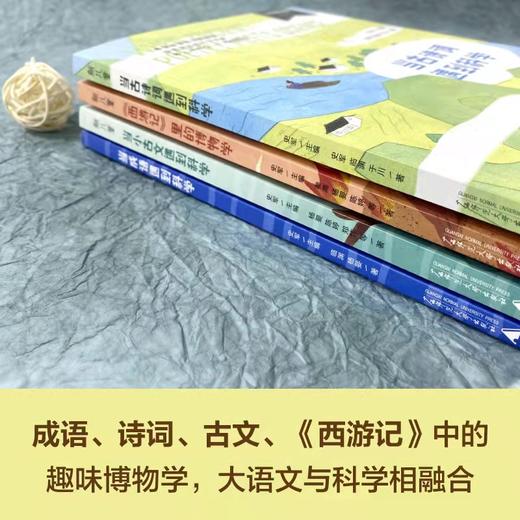 少年轻科普系列大全套16本全： 共生的世界/奇妙的世界/传统文化篇/儿童轻科普读物 商品图1