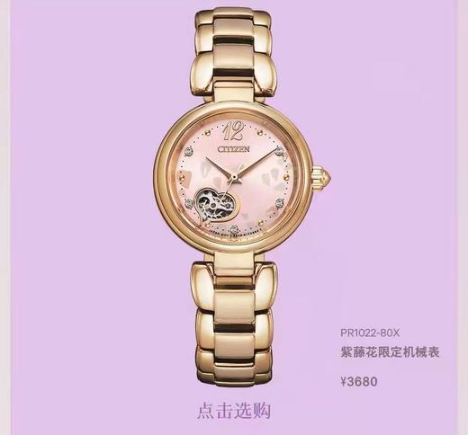 1F西铁城手表 商品图0