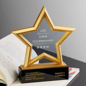 金属五角星水晶奖杯牌定制定做年会员工合作伙伴刻字2021年会颁奖