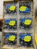 【BF】当季限定蓝莓125g 商品缩略图0