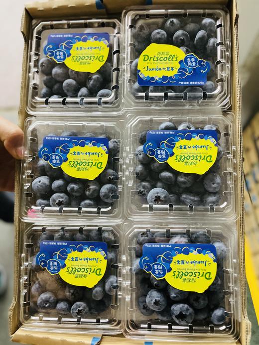 【BF】当季限定蓝莓125g 商品图0