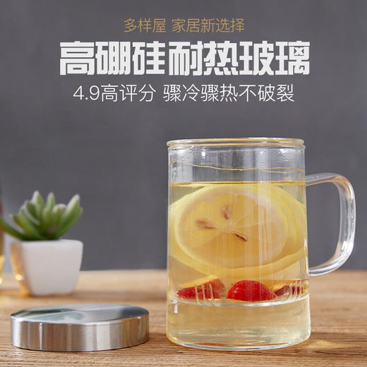 【6F】多样屋茶杯单层玻璃水杯带手柄 家用带盖茶水分离杯 有茶隔过滤杯子 高硼硅玻璃杯 商品图4