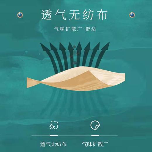 多种草本萃取深层渗透的艾草除螨包  15g*10包/袋 商品图1