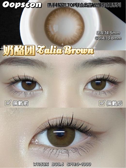 Oopscon Talia系列-Brown P106 奶酪团 商品图2
